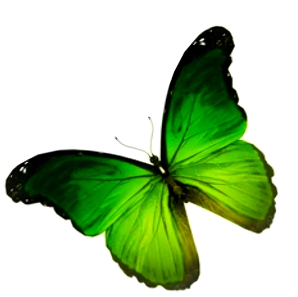 Meet your Posher - Picture 1 of 1